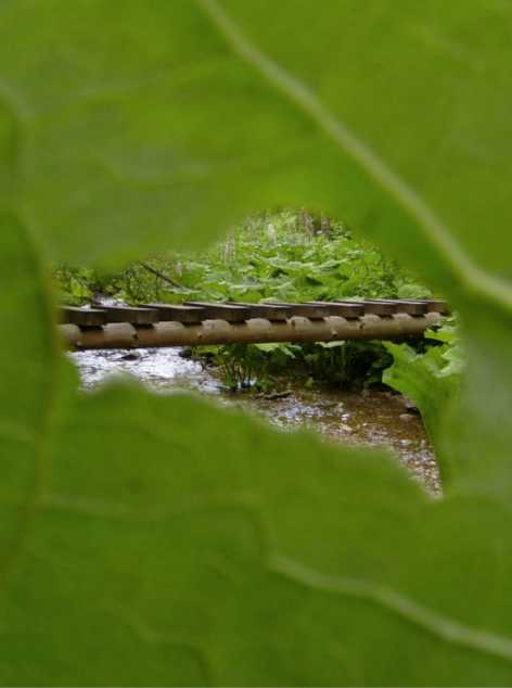 Zamysł
